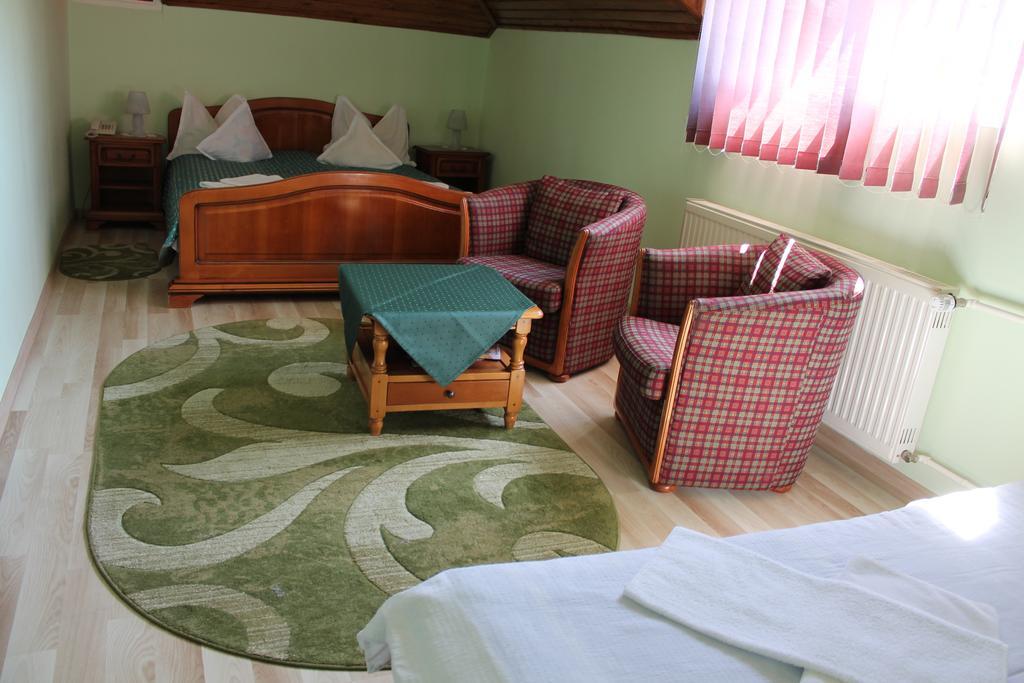 Pension Tip-Top Târgu-Mureş エクステリア 写真