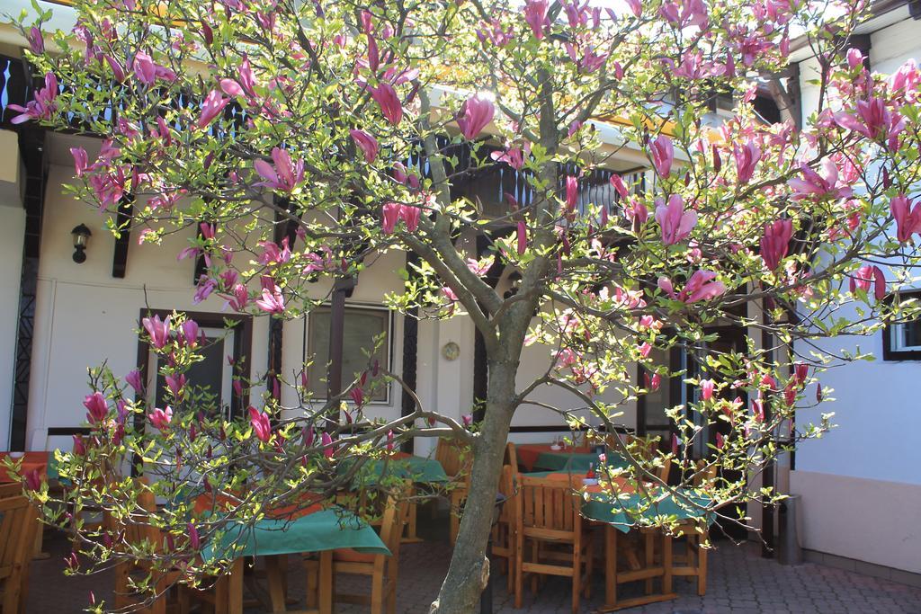 Pension Tip-Top Târgu-Mureş エクステリア 写真